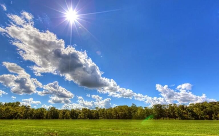 IMG-20251027-WA0042