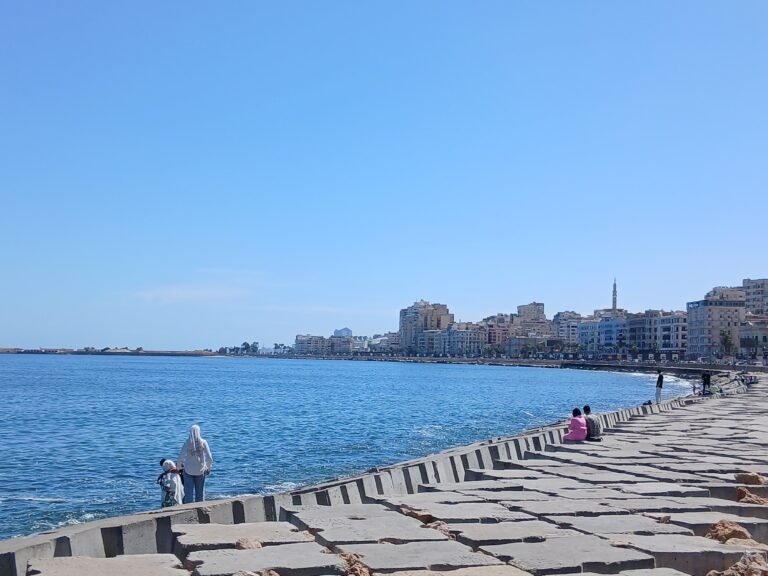 3133368-طقس-الإسكندرية--اليوم