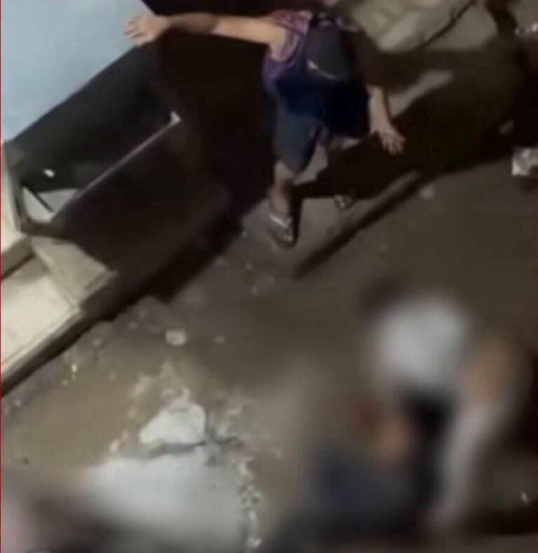 شقيقان من الأم في مشاجرة بشارع مصطفى كامل بالإسكندرية