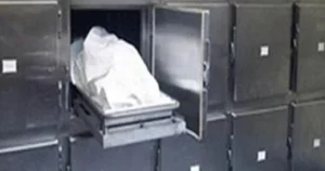 رائحة كريهة قادت للجريمة.. العثور على جثمان شخصين داخل شقة بالمرج وآثار طعنات تكشف مفاجأة