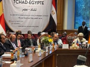 15 مجالًا صحيًا في مذكرة مصر وتشاد لدعم القطاع الطبي