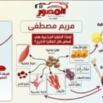 3 قرارات جديدة لتنظيم التعامل مع الخلايا الجذعية في مصر