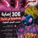 2 مليون بيضة و306 إصابات.. تفشي السالمونيلا يهز بلجيكا