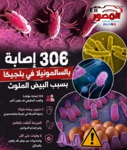 2 مليون بيضة و306 إصابات.. تفشي السالمونيلا يهز بلجيكا