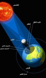 10 تغييرات غذائية.. و4 أطعمة تدعم صحة القلب