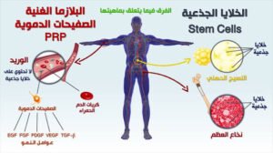 3 قرارات جديدة لتنظيم التعامل مع الخلايا الجذعية في مصر