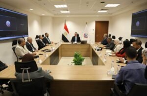 3 خطوات لتطبيق استراتيجية مصر الوطنية للصحة الرقمية